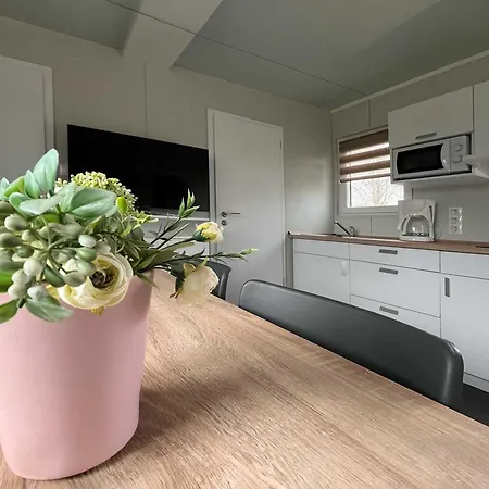 Aranypart & Κάμπινγκ 2*