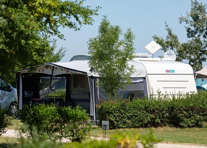 Campsite Aranypart & 2*